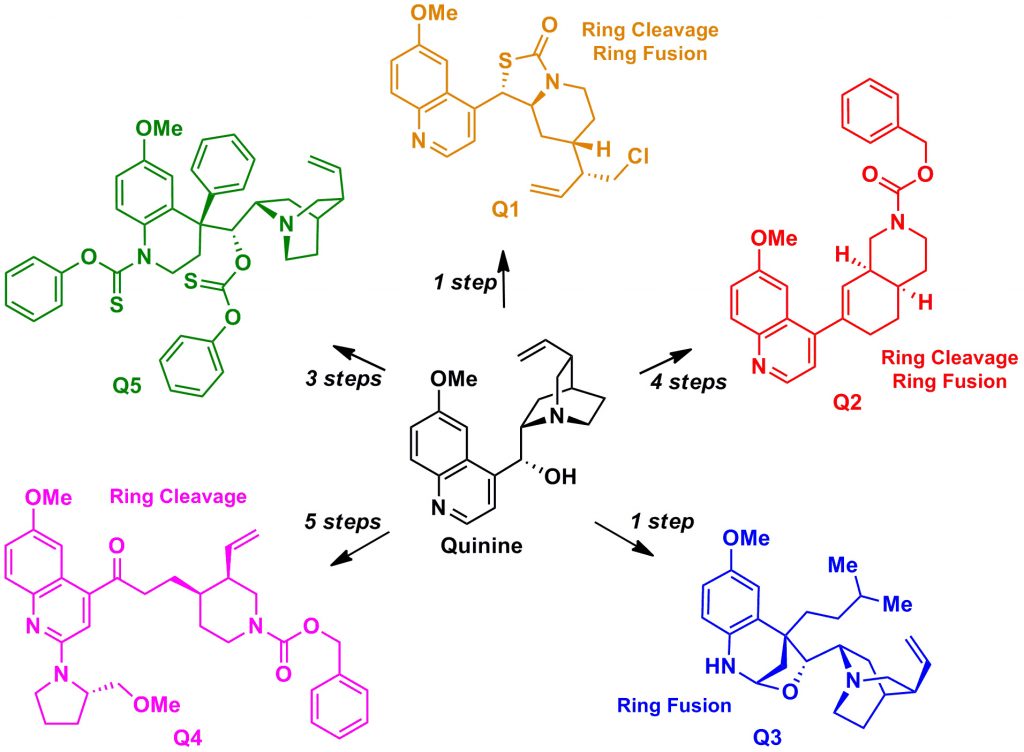 Introduction to Strategies for the Synthesis of Complex Molecules